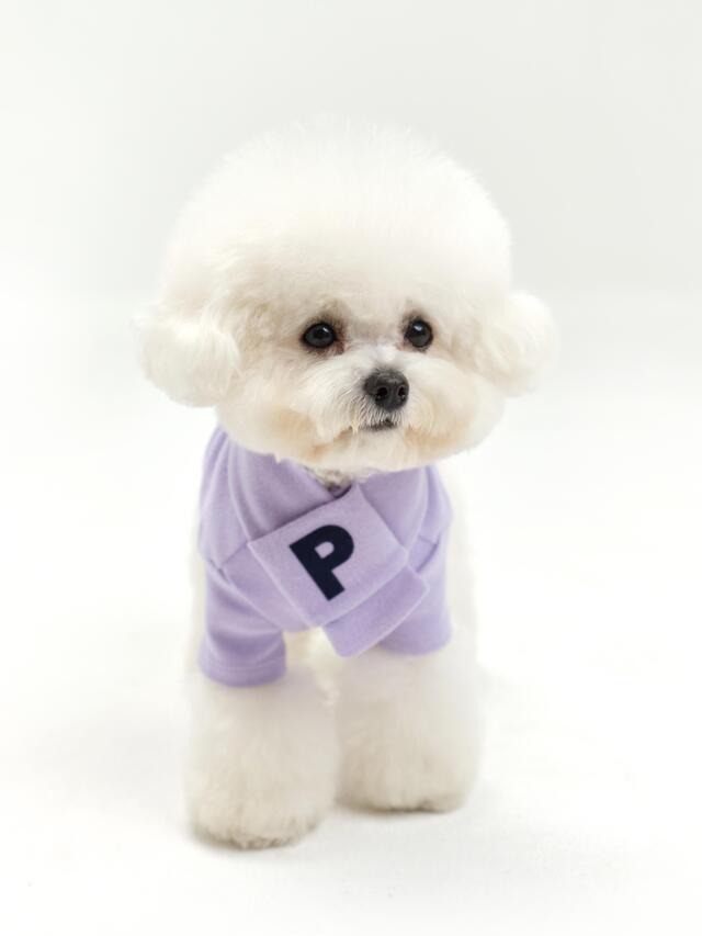 即納【PLUFFY DAYS】Warm T-shirt + Muffler  《gray》