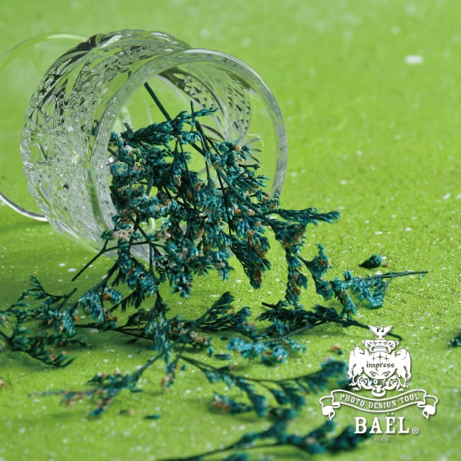 期間限定販売❗️BAEL PHOTO BOARD PRO〈IBUKI〉