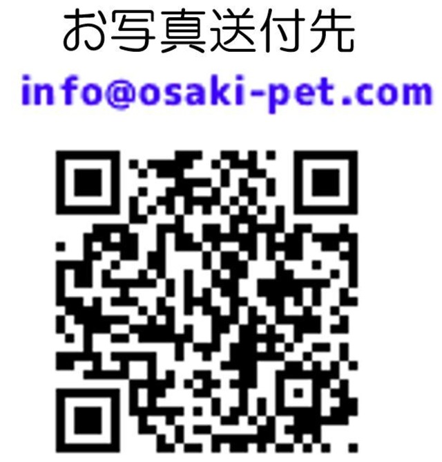 うちの子クッション【トロマット生地】Ｓ サイズ