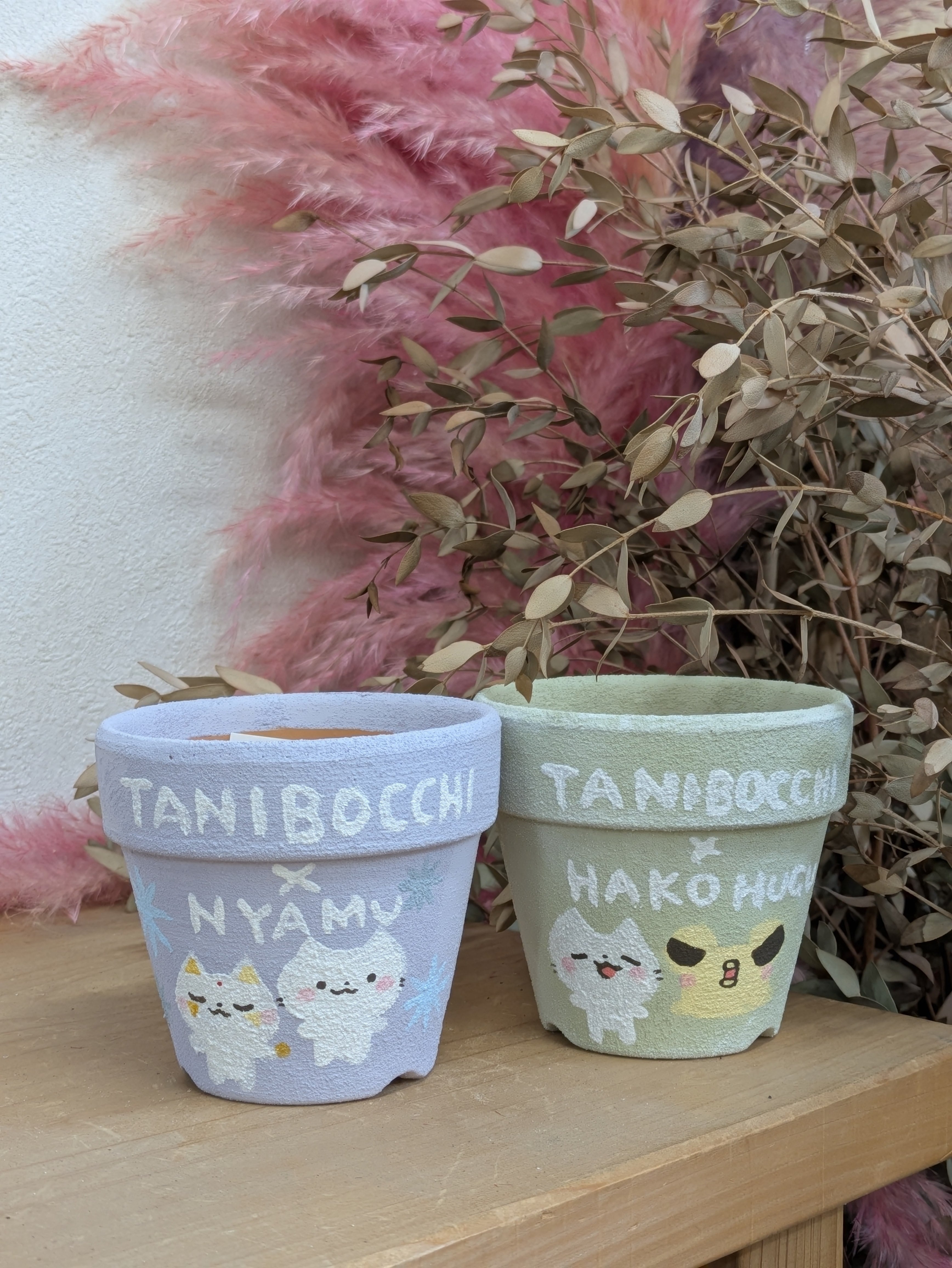 tanibocchiさんコラボセット リメイク鉢 3号鉢 | 成瀬多肉