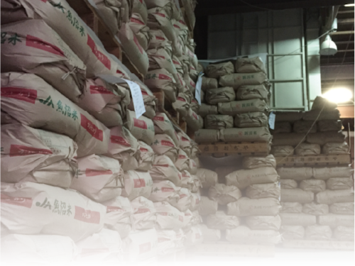 令和５年産米 魚沼コシヒカリ 特別栽培米 精米 30kg