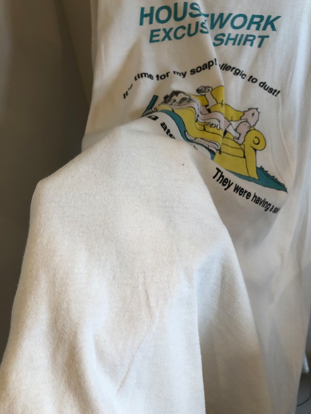 1980’s AMERICA Hanes single stitch Tee／4XL size