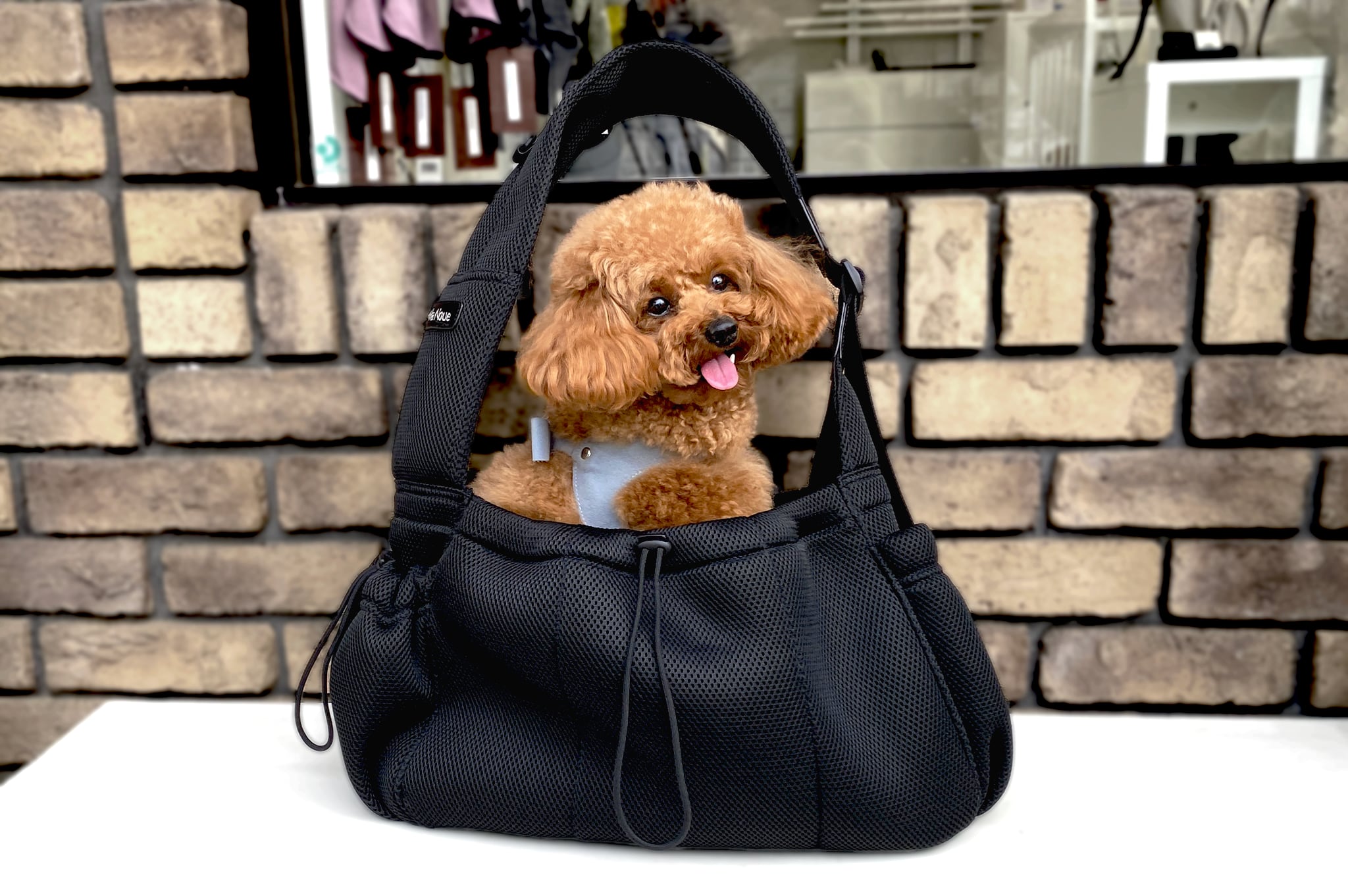 メッシュスリングキャリー ブラック ー ペットキャリーバッグ ドッグス