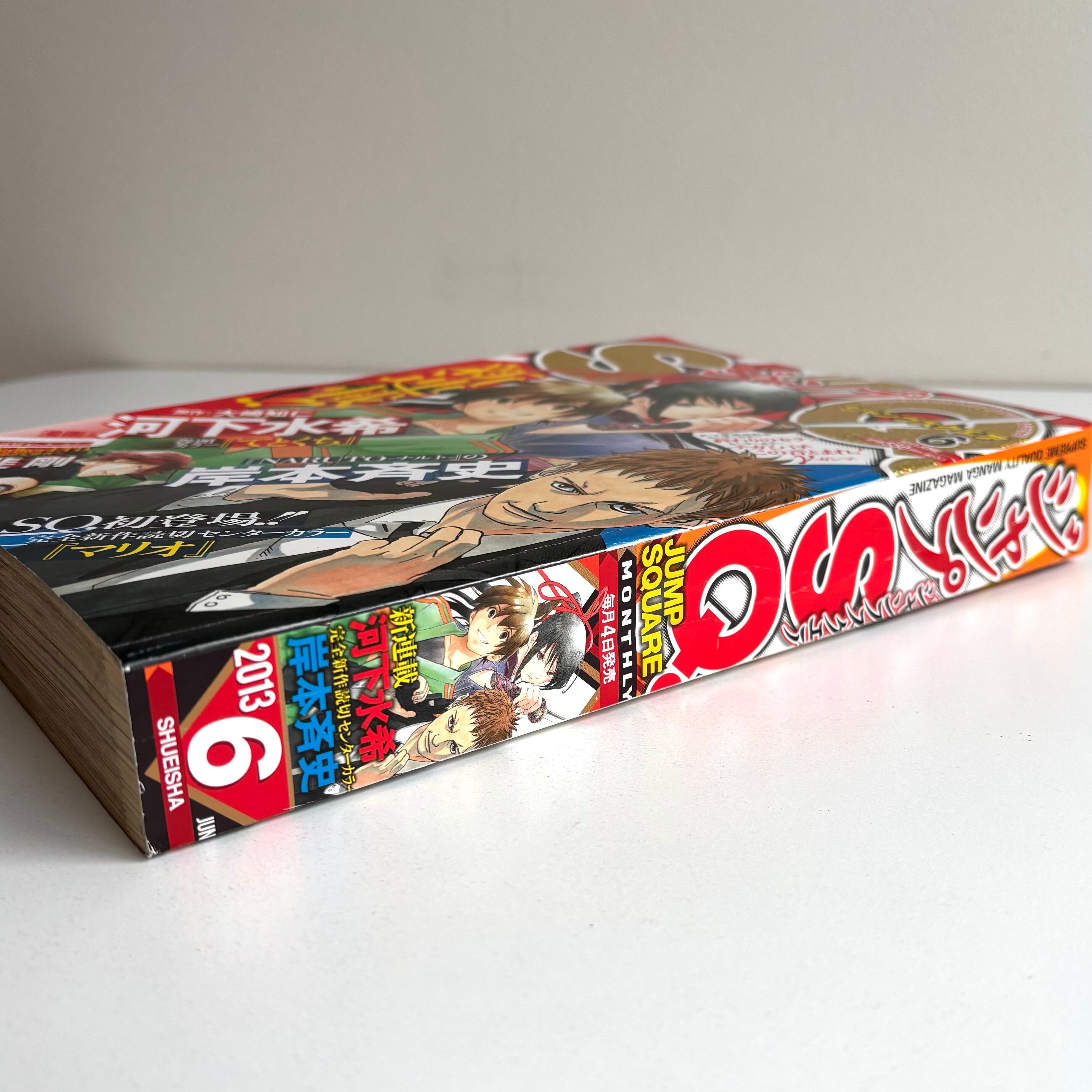 ジャンプSQ 2013年 6月号 集英社 岸本斉史 『マリオ』単行本未収録