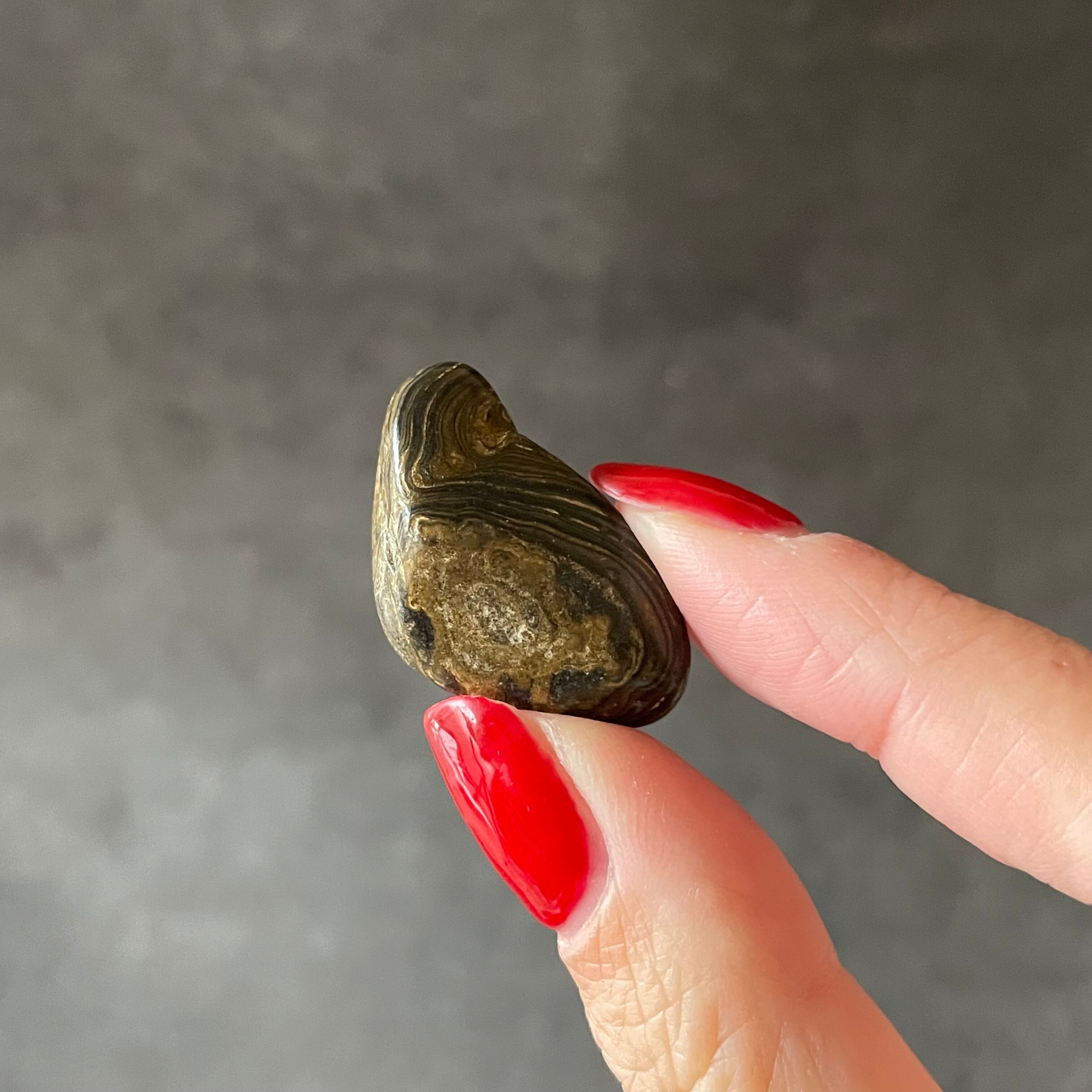 モロッコ産♦︎Stromatolite ストロマトライト|Tumble タンブル|天然石 パワーストーン 鉱物 gem stone