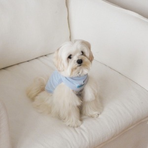 【予約】[ togethering ] Soft Cooling Sleeveless｜Sky Blue