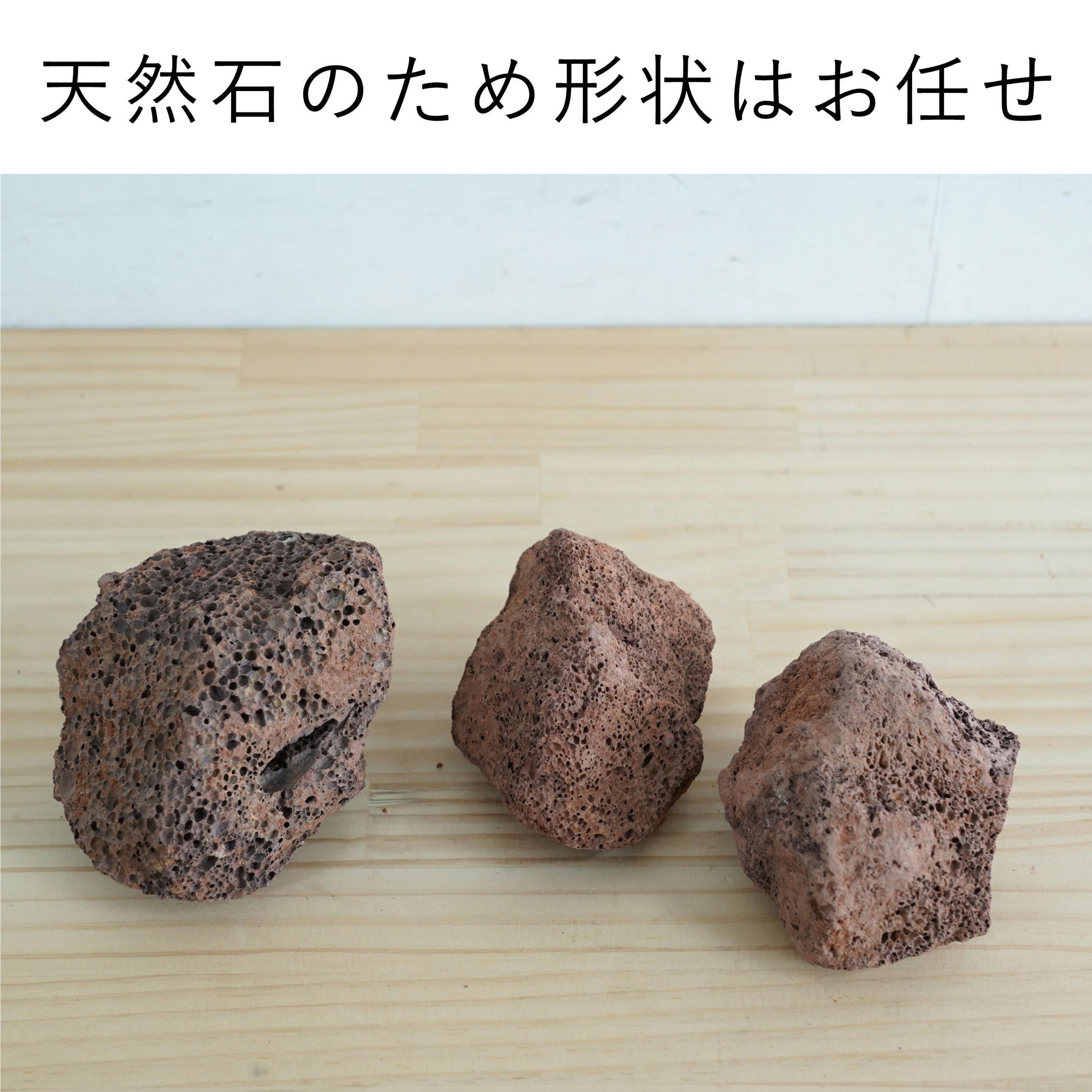 赤色溶岩石 特大 約15cm 1個入り【レイアウト用・着生用】 | 苔