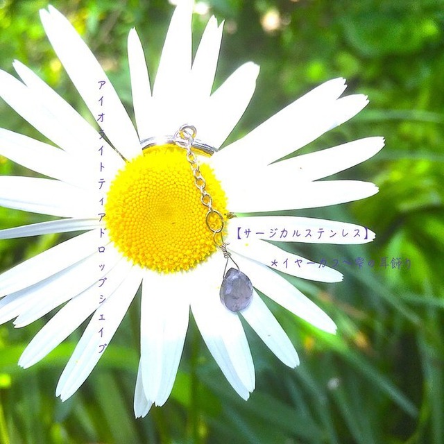 【一点物】✦⋆.すみれの花咲く頃⋆.アイオライトティアドロップシェイプイヤーカフ⋆.·サージカルステンレス⋆.·✦