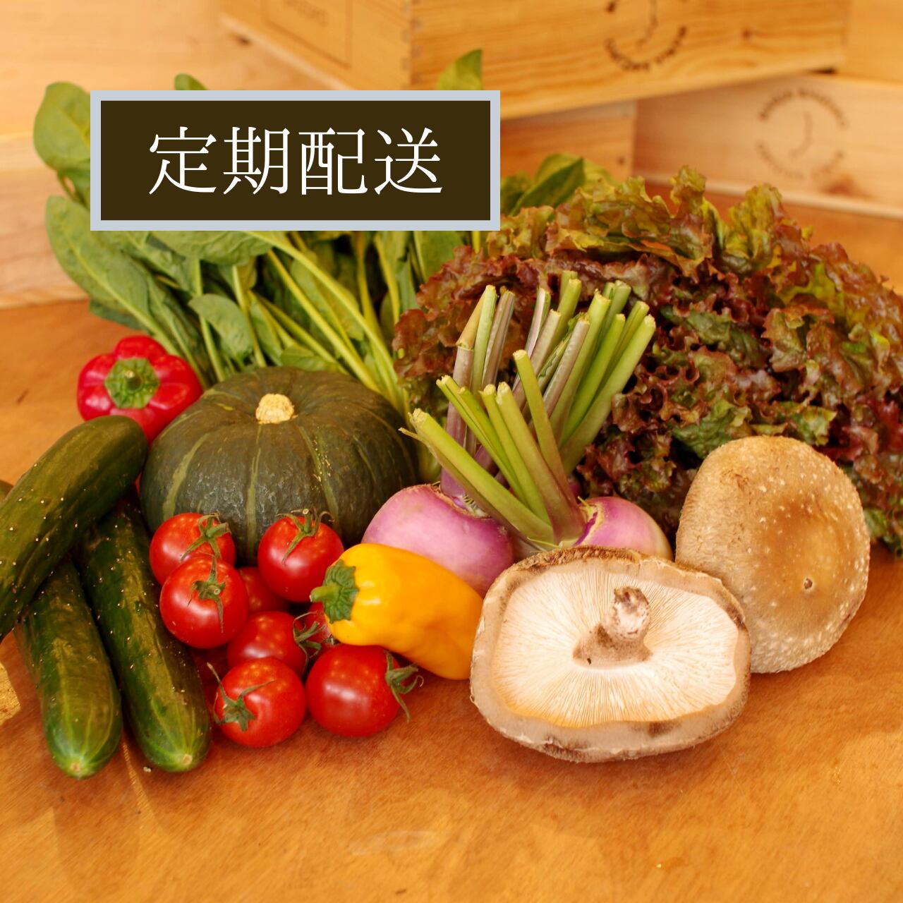 【定期配送(隔週)】旬の新鮮野菜セット(S)【7〜8種】