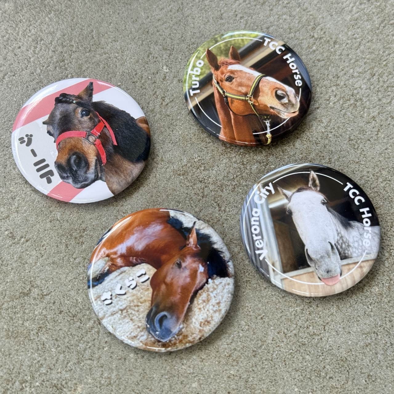 TCCホース缶バッジ ヴェローナシチー