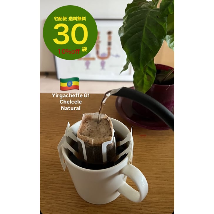エチオピア | 8coffeeroast
