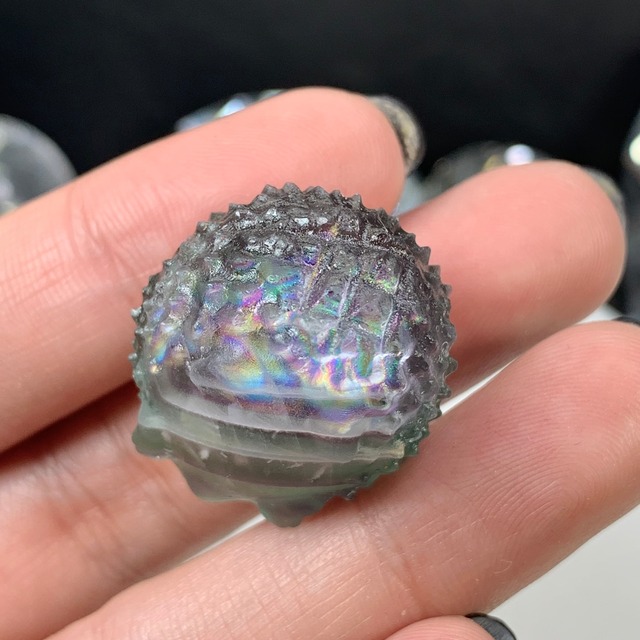 23.フローライトハリネズミさん☆大家族セット