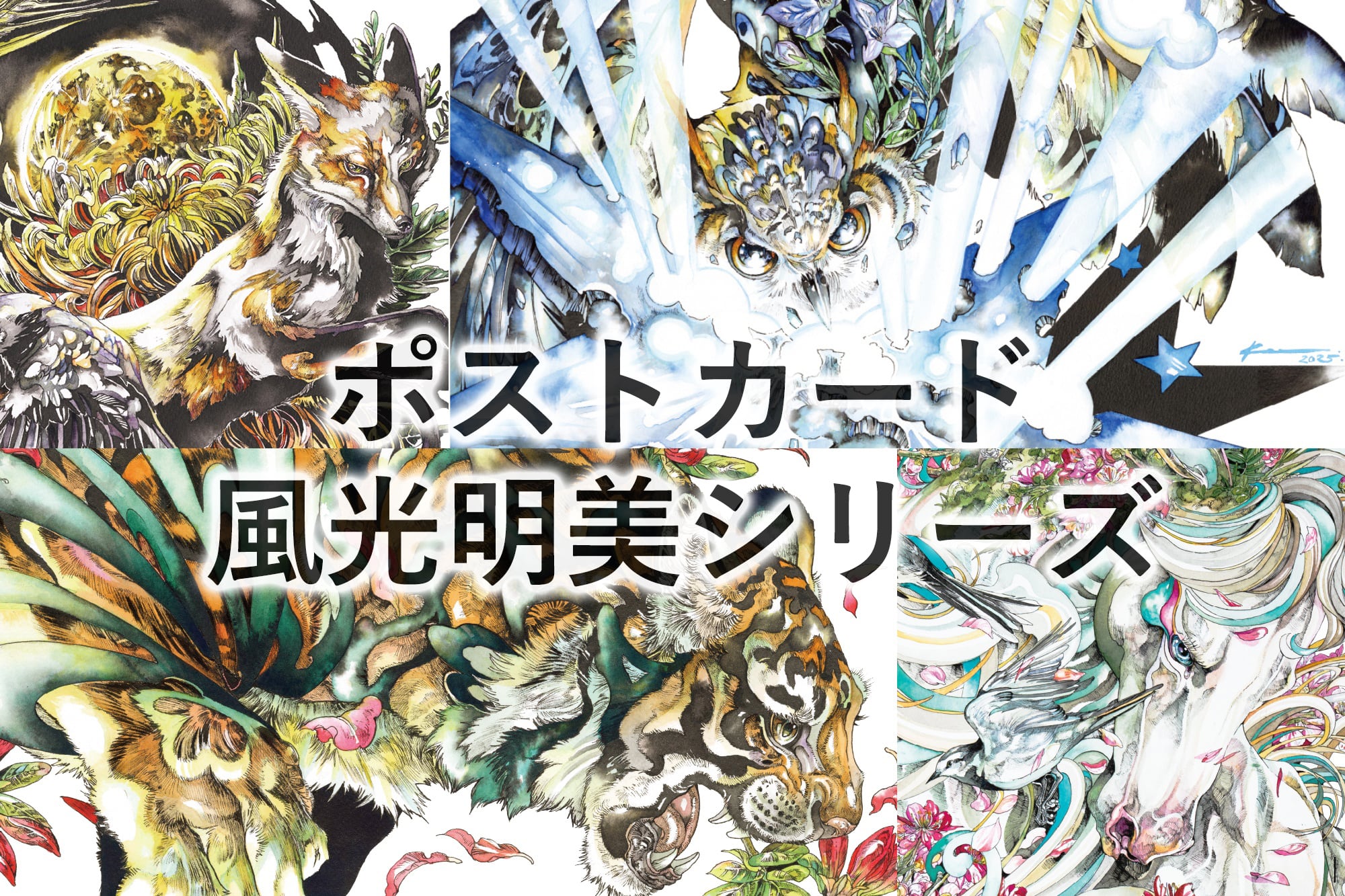 ポストカード | KEN MATSUDA ONLINE STORE