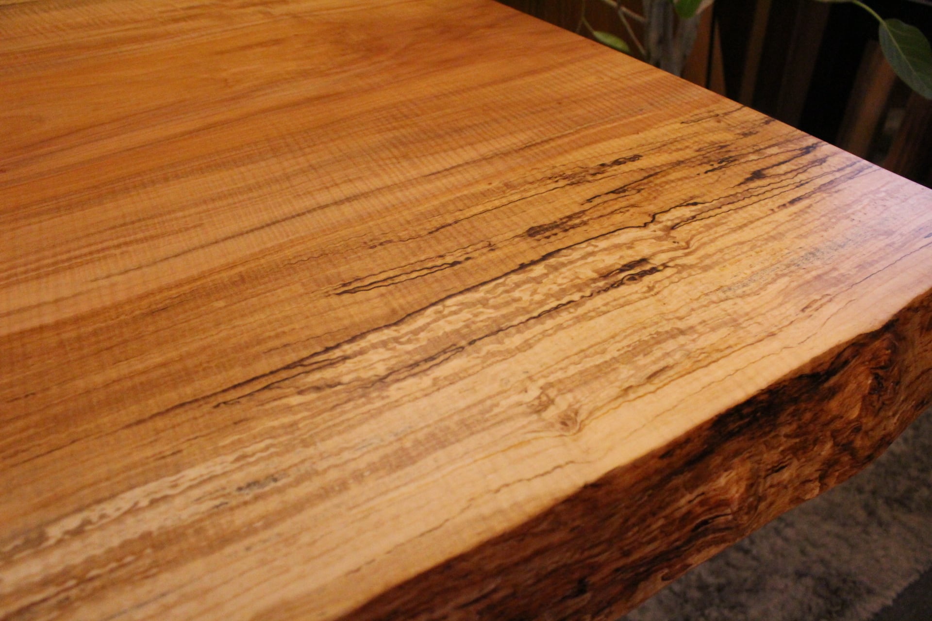 メープル_2300×800‐850‐910×60_柏店_テーブル天板/一枚板 19596 | 千年