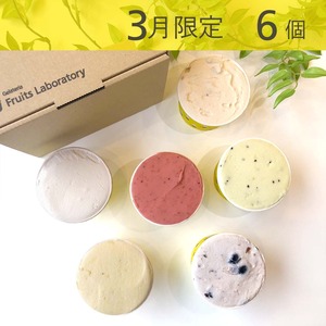 [3月限定商品] Fruits Laboratory ジェラートセット　6個入り