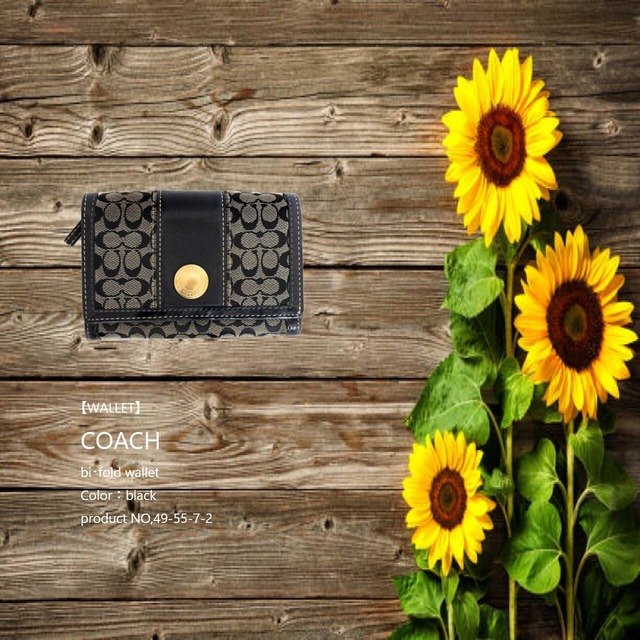 NO,49-55-7-2                                                                                                     【WALLET】COACH