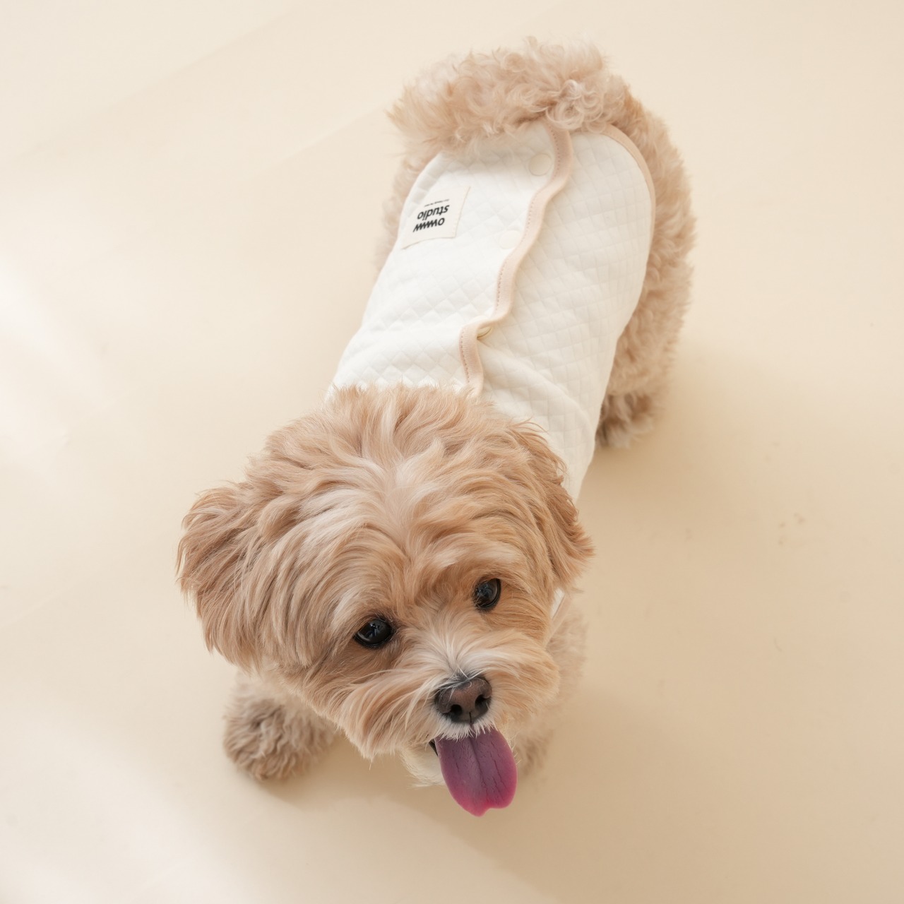 【予約】Organic Quilted Vest｜Back Button（お名前刺繍入り） - 1