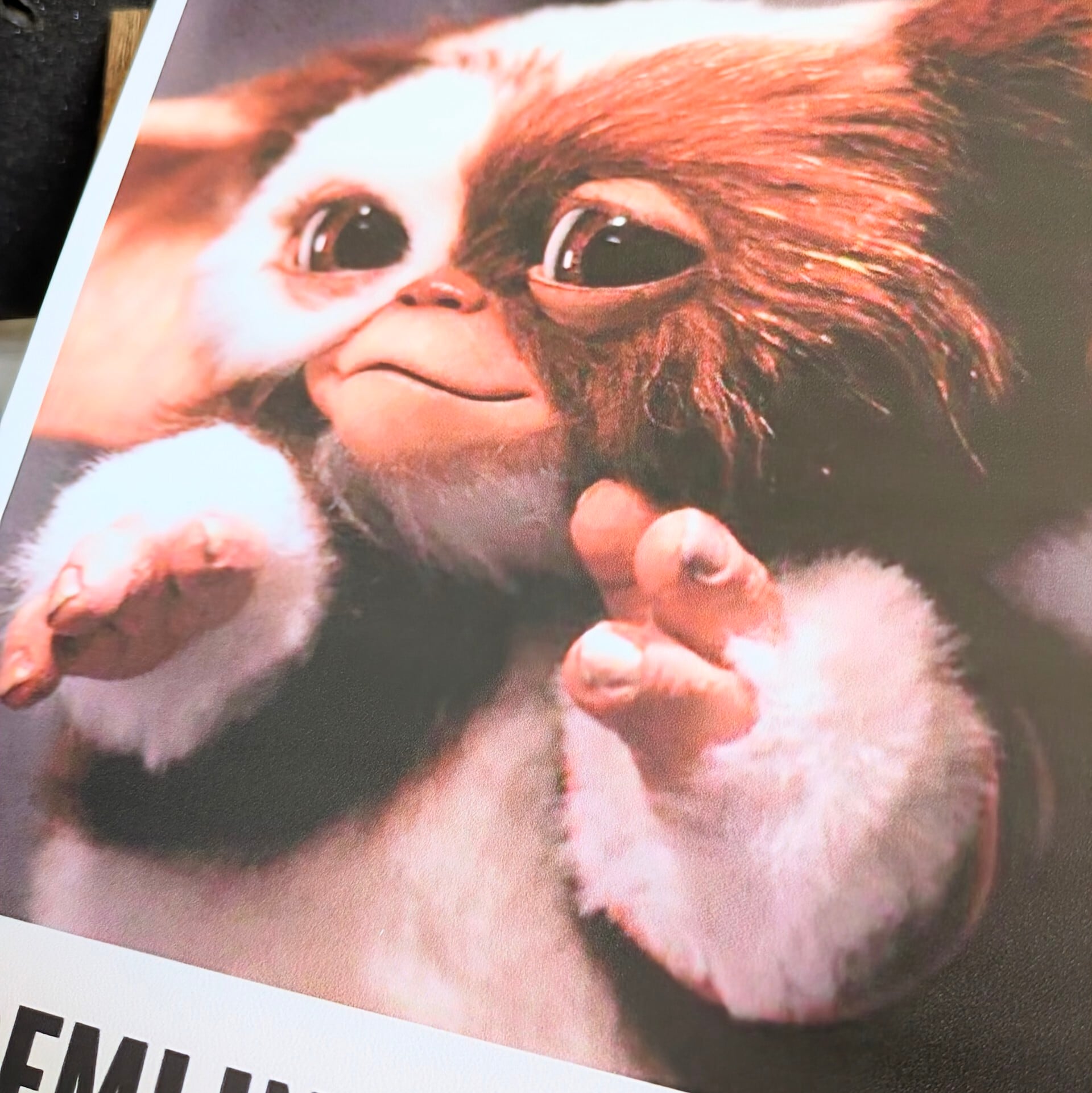 送料無料!ちょうどいいブリキ看板【 Gremlins ( グレムリン )】 ギズモ / METAL SIGN / メタルサイン / ブリキ看板 / サインボード / ビンテージ加工 〚アメリカン雑貨 アメトイ〛