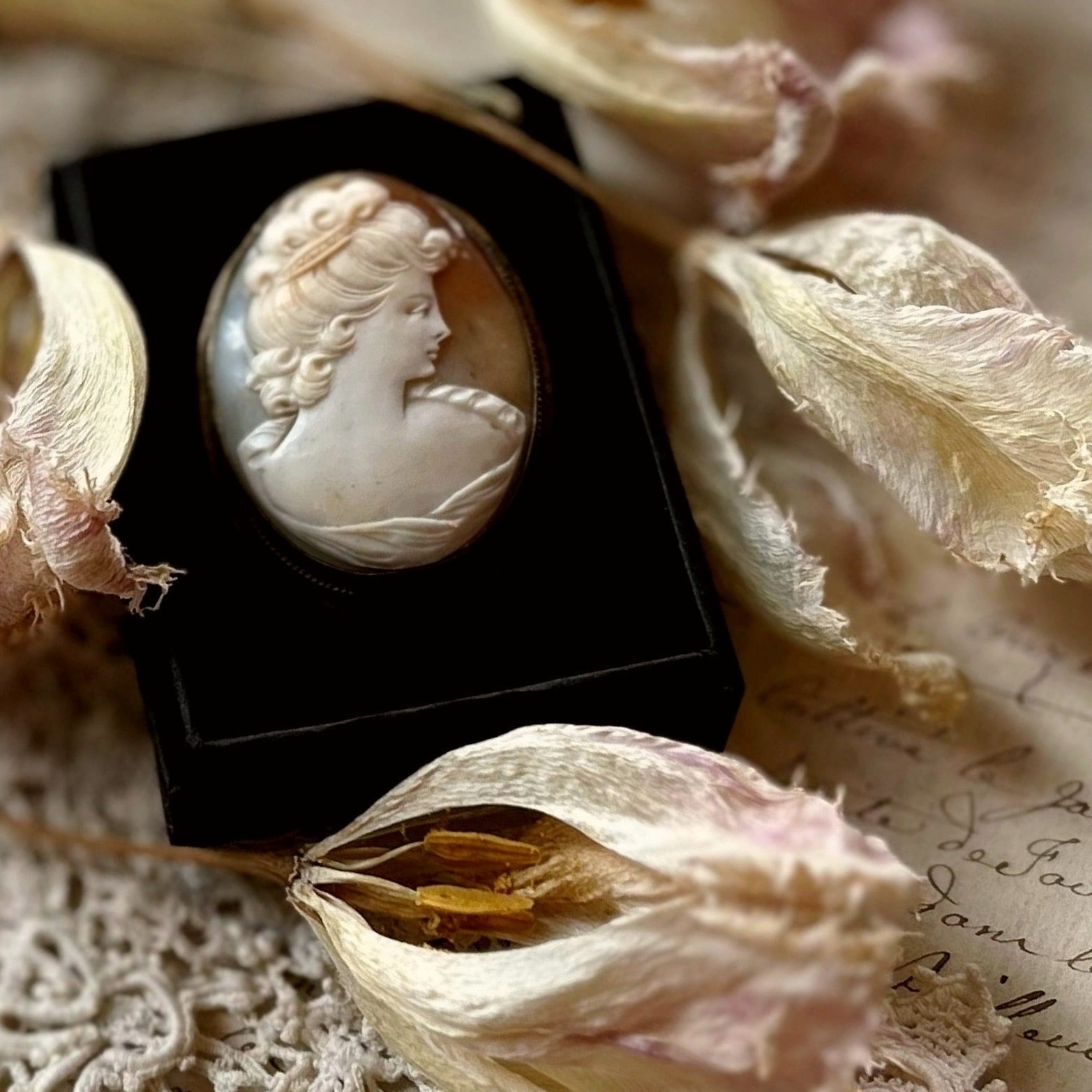 アンティーク銅版画「オオカミ、キツネ」 | Pay ID