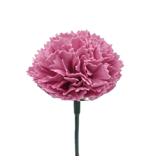 ミニカーネーションMC-PR5 チェリーブロッサム (15輪入りor25輪入り)