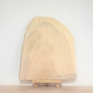 No.1085　イチョウ