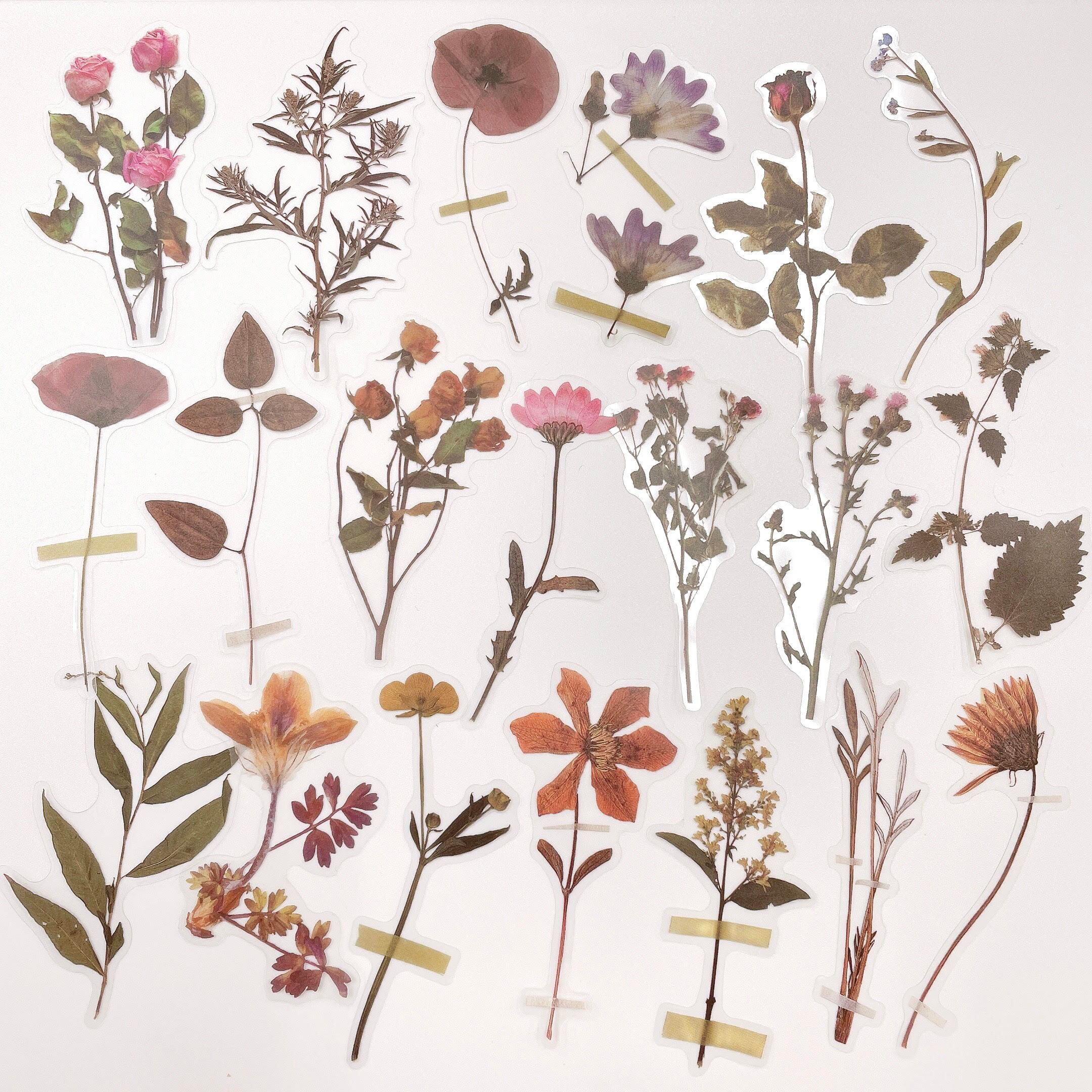 オリジナルカラー押し花リング 押し花 小花 ドライフラワー 青の花畑
