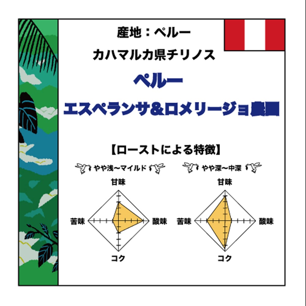 【300g】ペルー エスペランサ＆ロメリージョ農園　フルウォッシュド