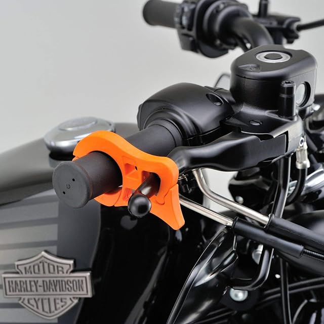 数量限定】デイトナ(Daytona) バイク用 ナンバープレートホルダー 21年