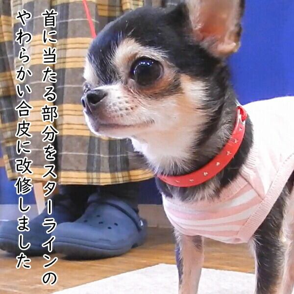 犬 首輪 リード セット スキップドッグ スターライン プチインリード