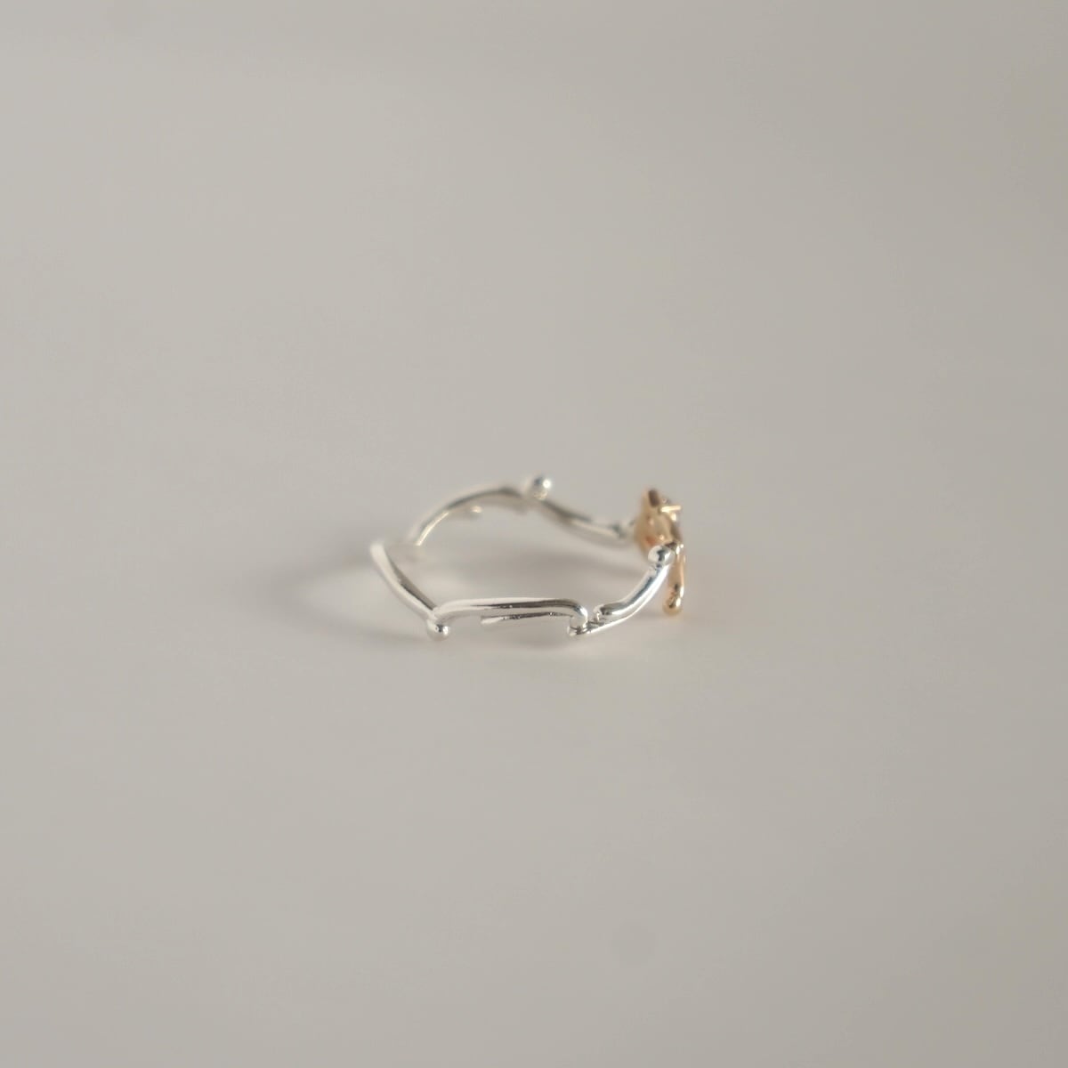 Capricorn 山羊座 / Tanzanite＞zodiac sign ring | MR-137 | KINARIYA