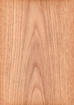 天然木ツキ板シート　ホワイトオーク　薄色系