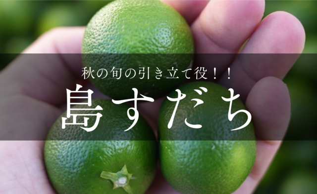 【2025年売り切れ】島すだち　500g~
