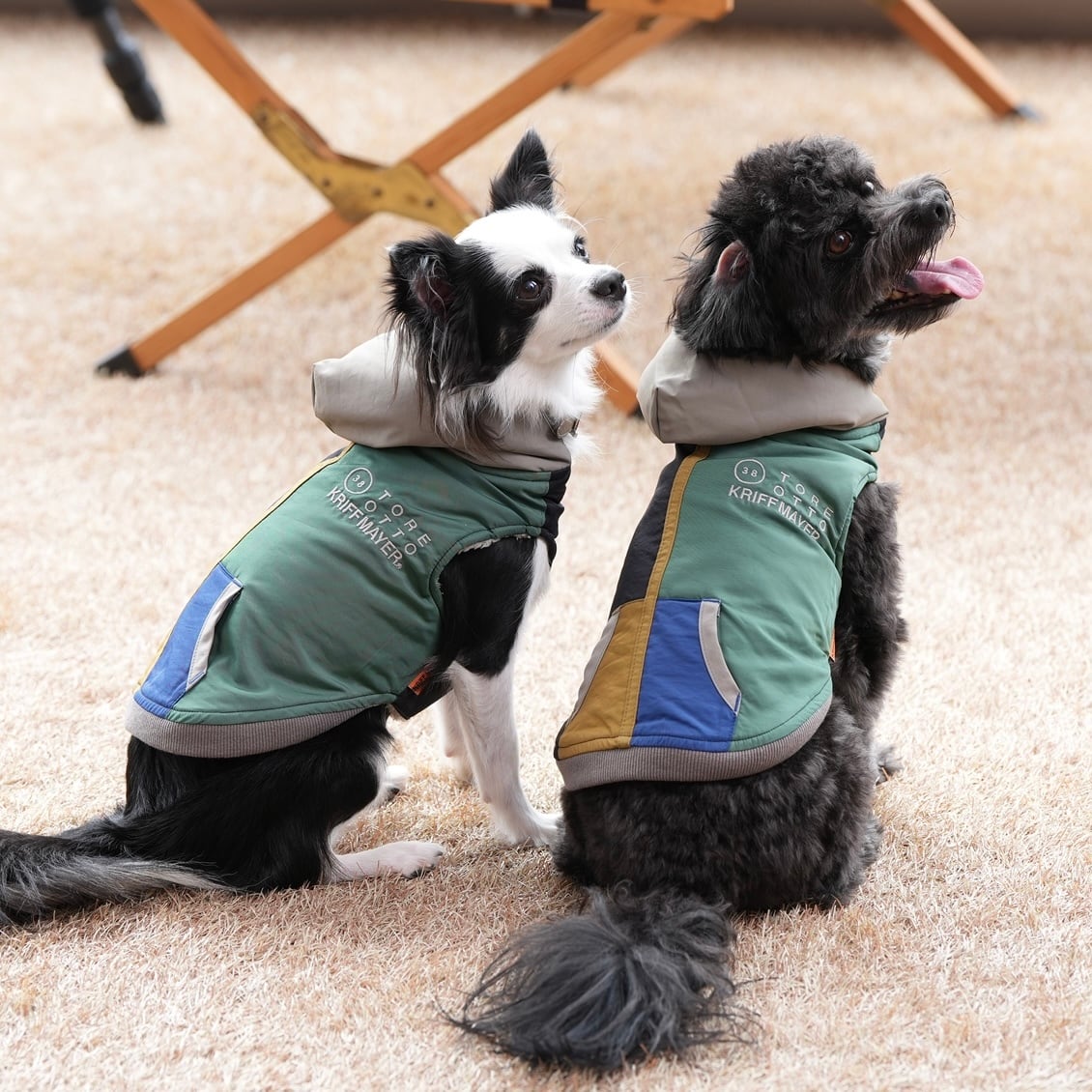 DOGひっくりベスト（MULTI-COLOR） | 38explore