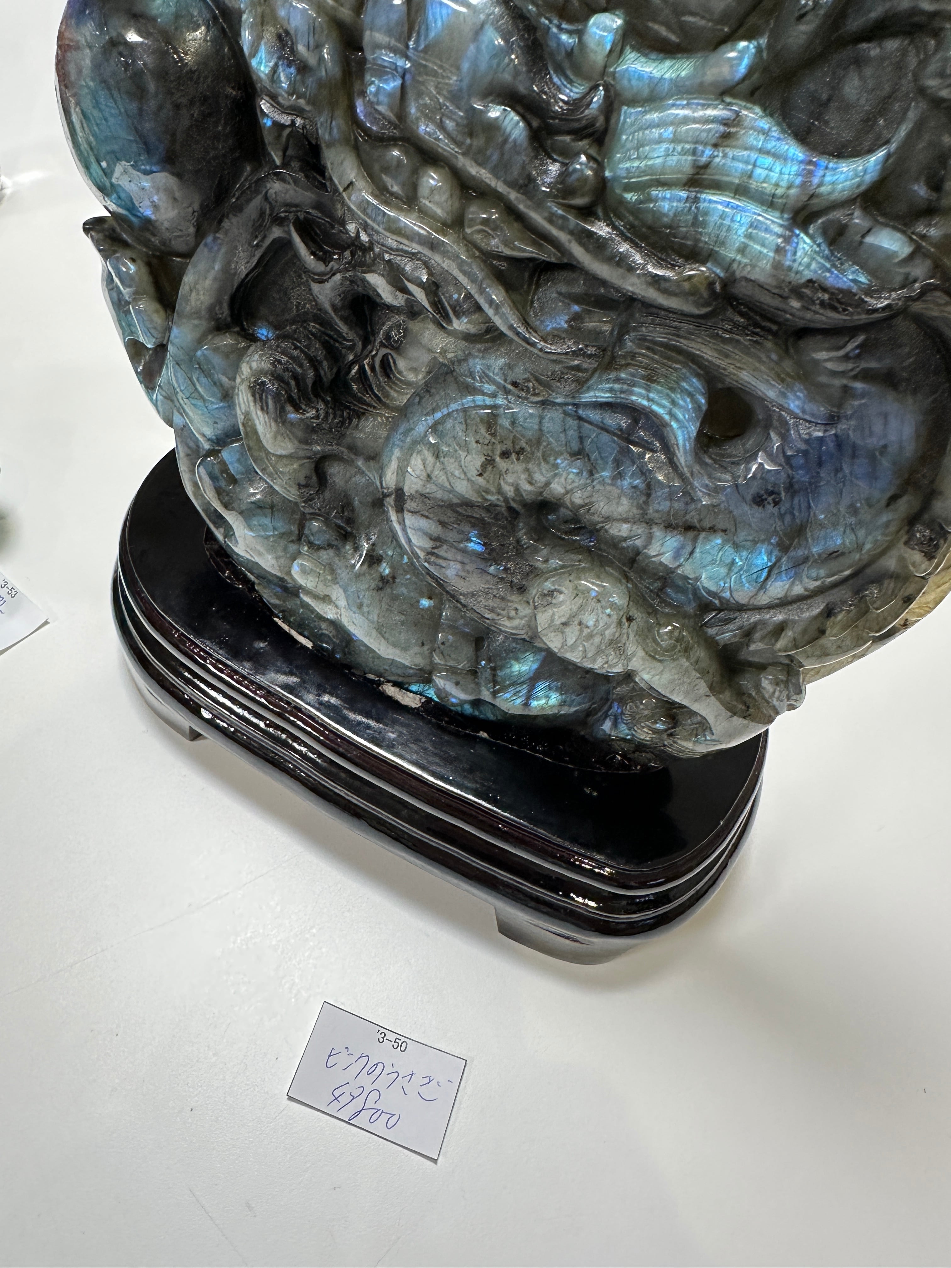 地中海産 天然赤珊瑚（赤さんご,レッドコーラル）原木 N342 | 天然石爆