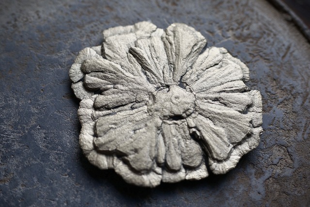 パイライトサン Pyrite Sun