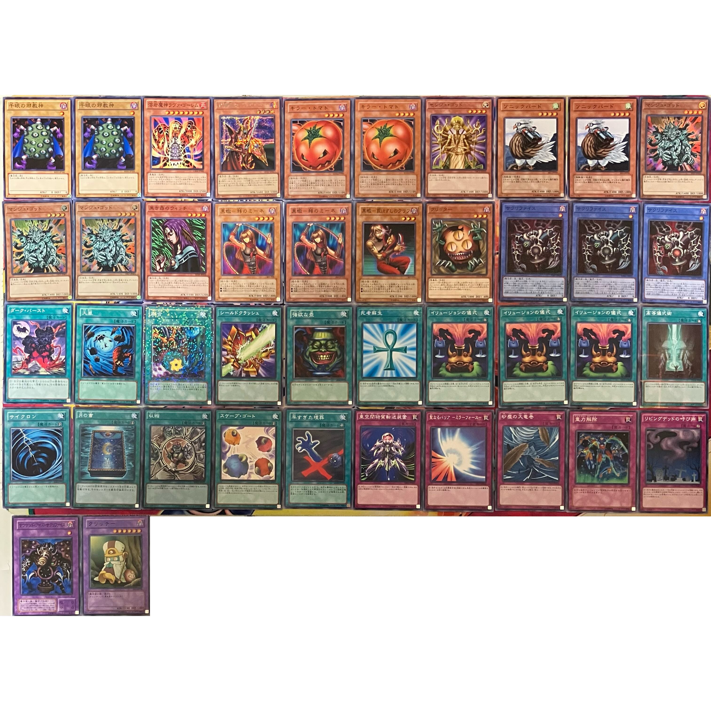 デュエルロワイヤル サクリファイス デッキ 遊戯王 | PAY ID