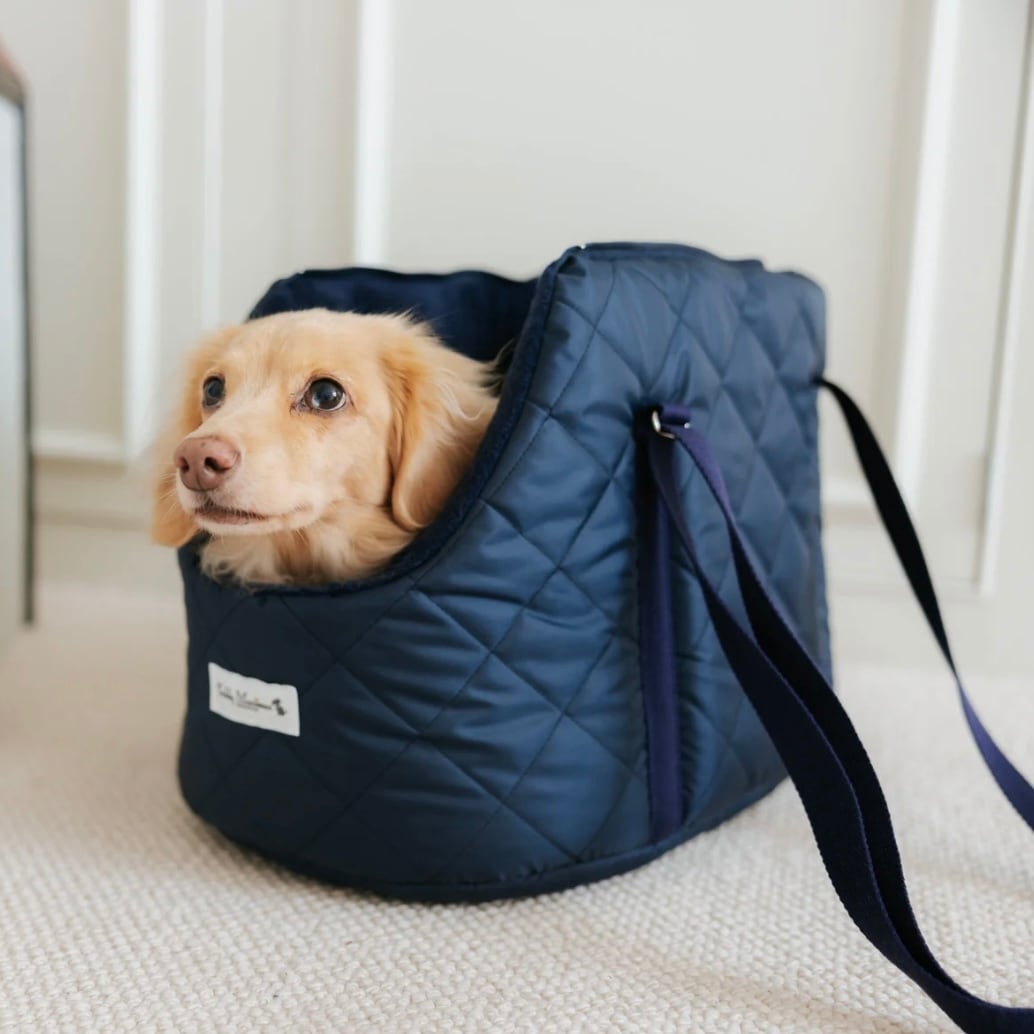 『バーフォード』キルティング・ドッグキャリー(Medium) < Teddy Maximus >