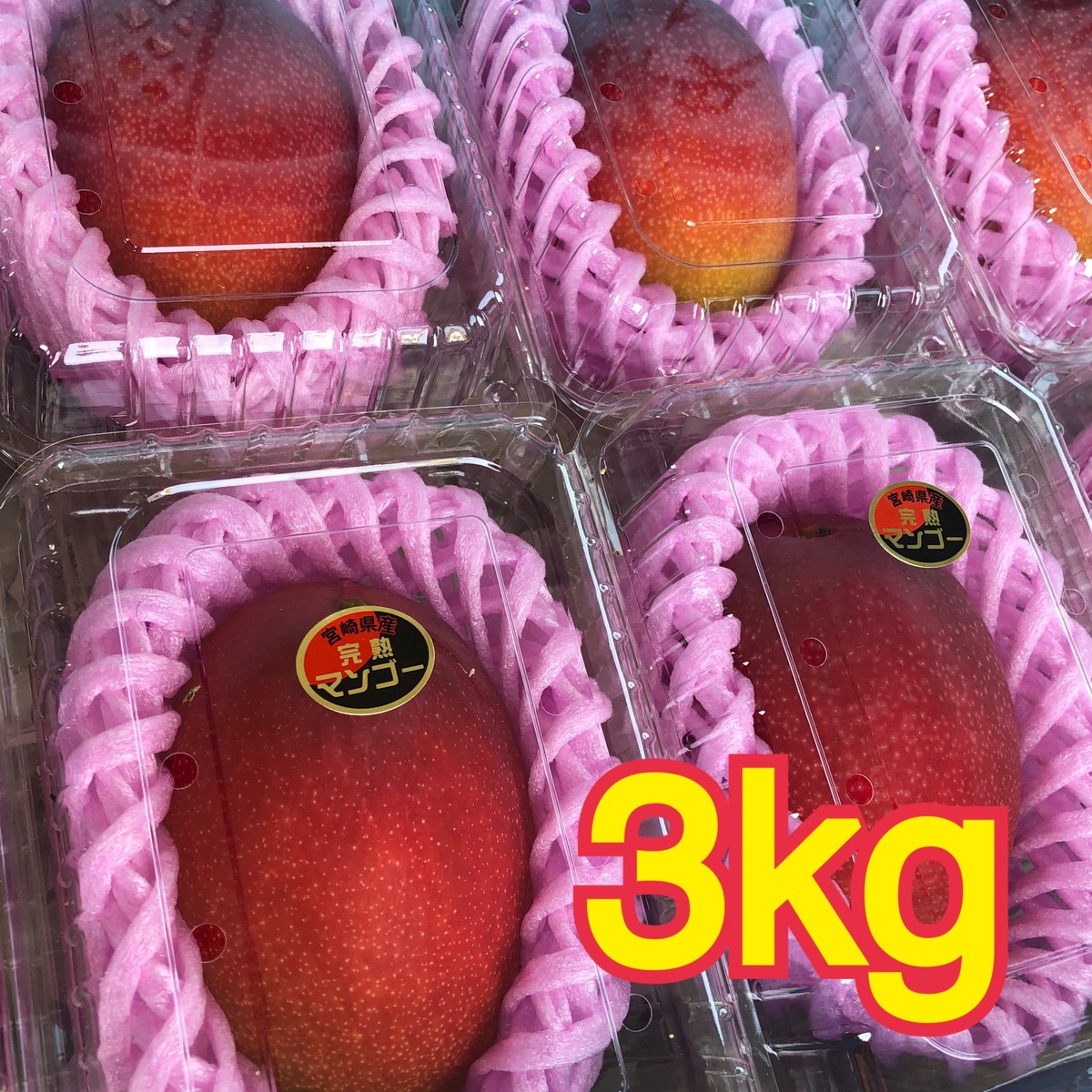 完熟マンゴー 3kg 7〜10玉 フルーツパック詰め | AKAIKE FARM