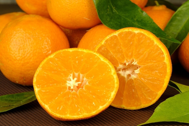 【大人の柑橘系でメンタルバランスにアクセス】メディテーション・タイム 10ml