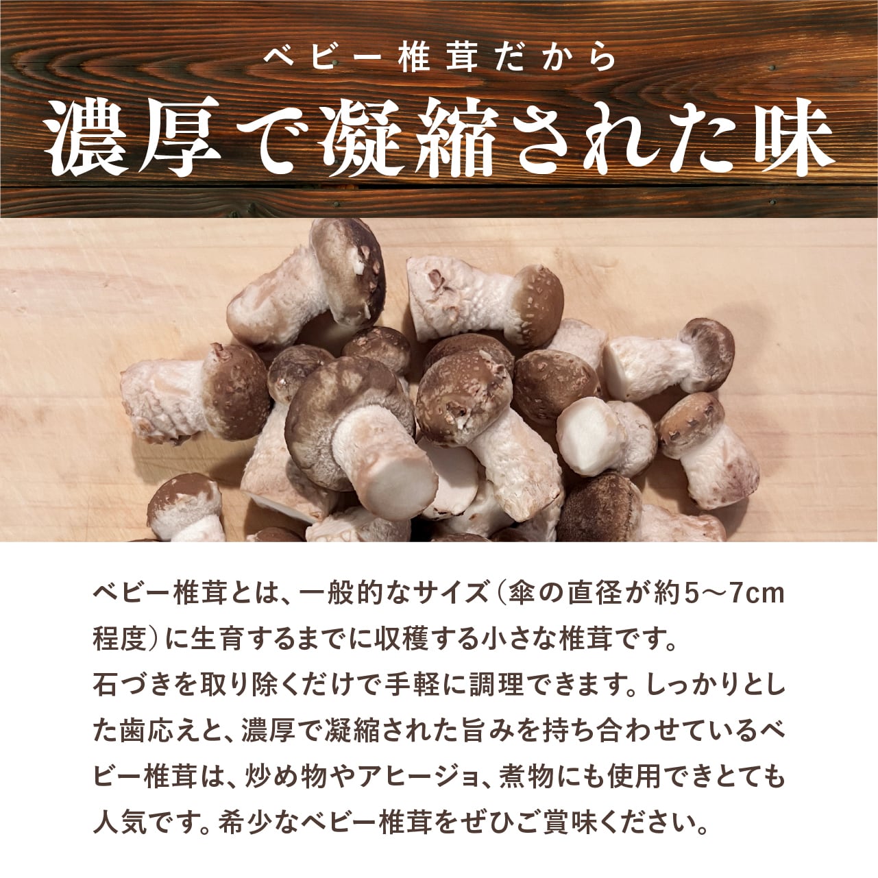 しいたけページ L大きさ-768x622.jpg