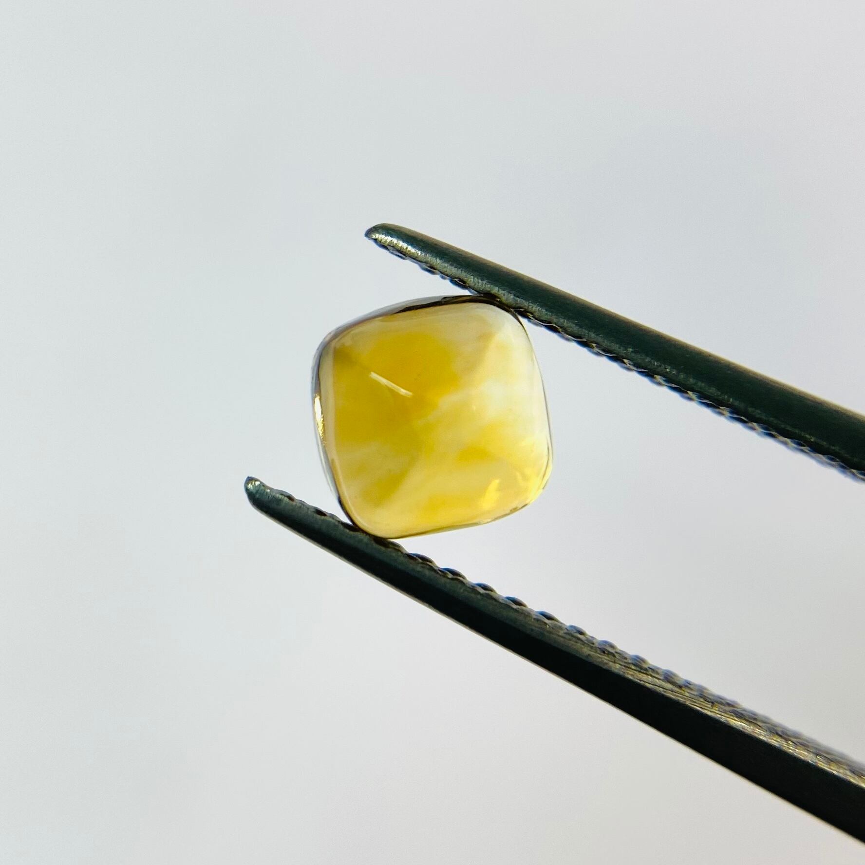 初売! シュガーローフ3色セット