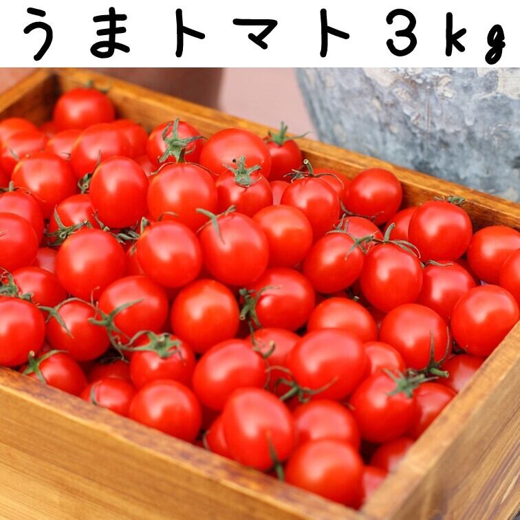 糖度8度以上】うまトマト3kg | Soulfood