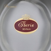 【スペイン製 フラメンコ衣装】ブラック系 Tberia コルドベス ハット 帽子 黒 真っ黒 無地 ダンス用 つば付き 毛 小物 発表会 練習 フラメンコ ハット コルドベス ダンス 帽子 おしゃれ ブラック コスチューム スペイン 小物 練習用