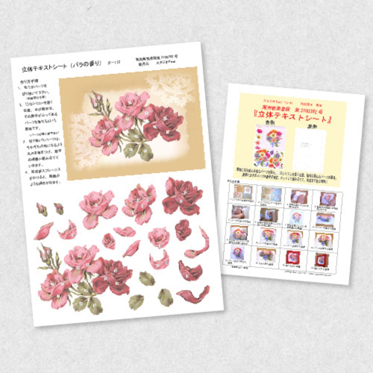 キャロルウィルソン ペーパーボックス 薔薇 味気 ばら シャドー 