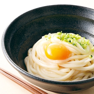 手延べうどん　半生タイプ　10袋