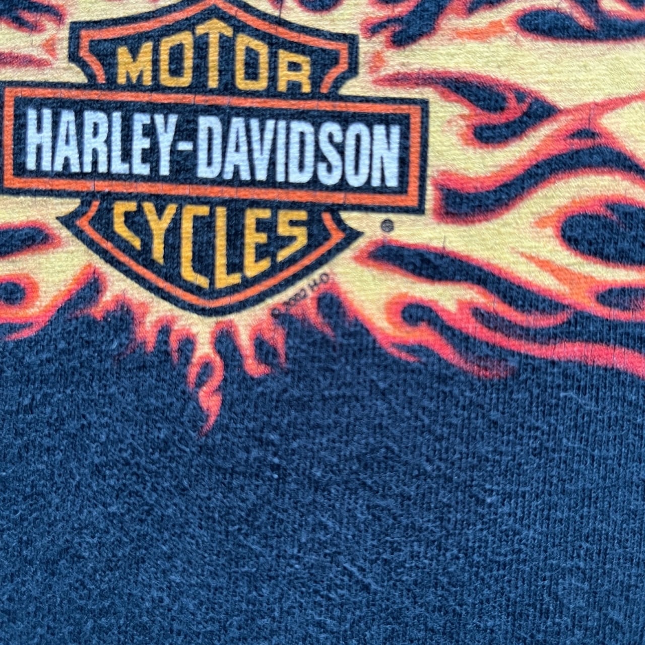 Harley Davidson 2002 Flaming Skull Long Sleeves Tee | Vintage High