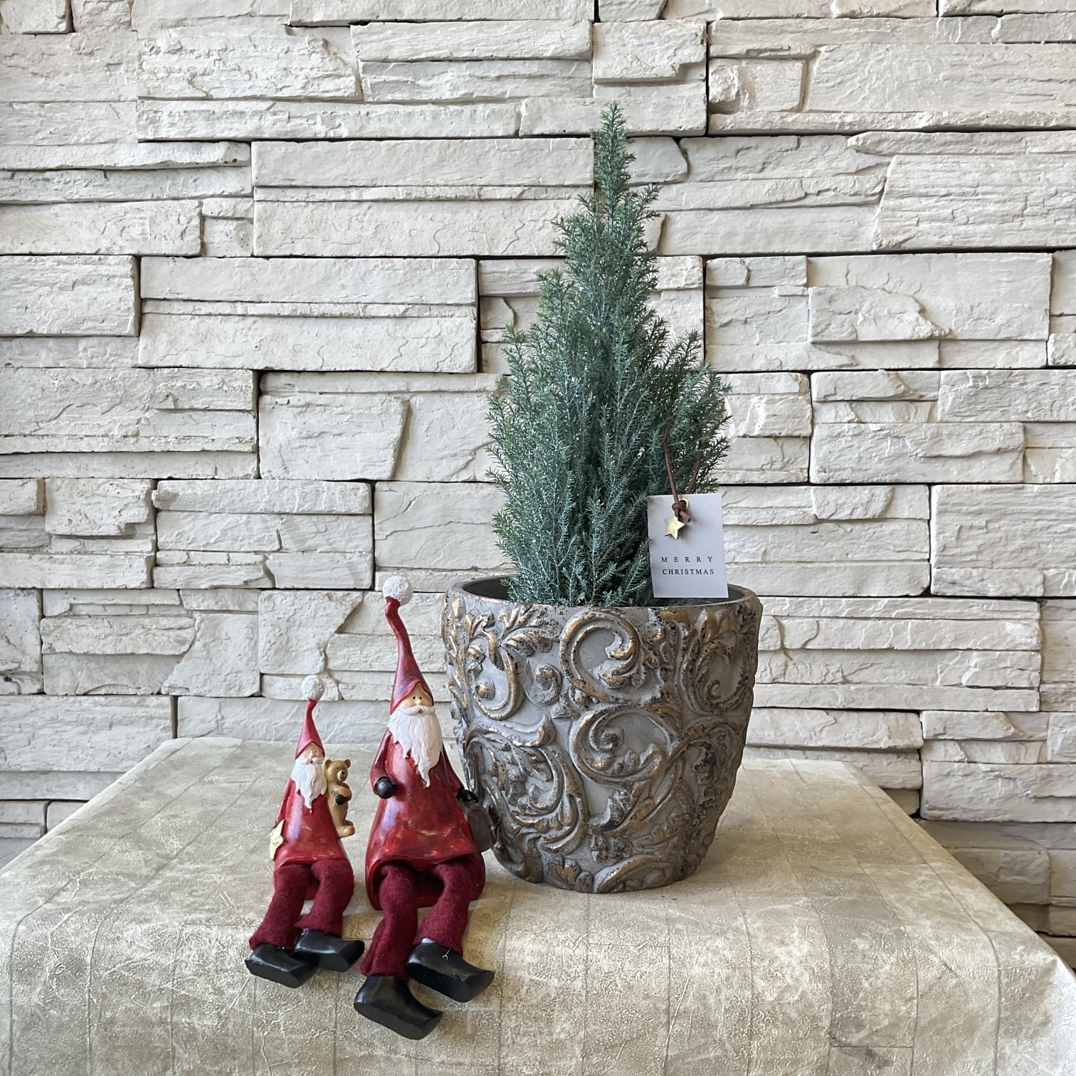 爽やかアンスリウムの寄せ植え | 橋本種苗園