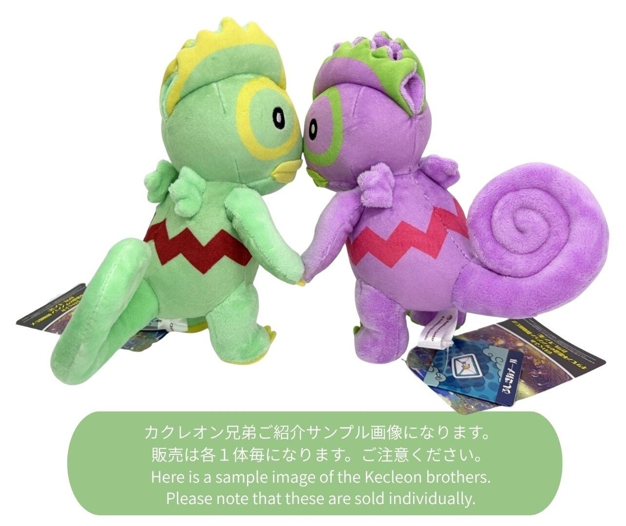 株式会社ポケモン ぬいぐるみ ポケモン不思議のダンジョン救助隊DX