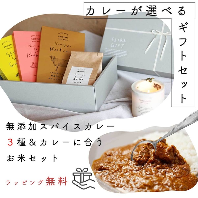 スパイスカレー＆お米のギフトセット【選べるレトルトカレー３種＆カレーに合うお米 ２合】【送料無料】