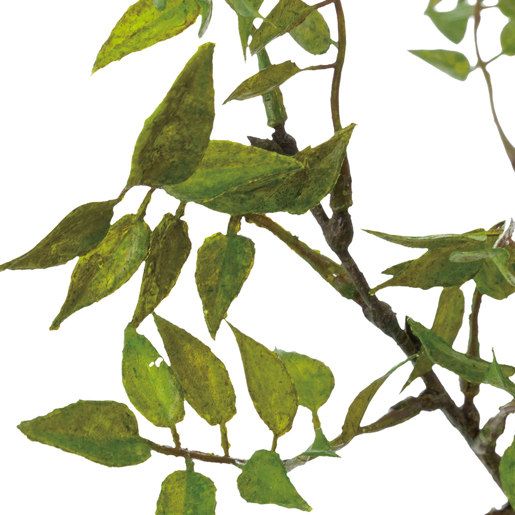 スマイラックスブランチ　グリーン系　FG-4962GR　4961823693496　造花（アーティフィシャルフラワー） > 定番造花グリーン（素材）